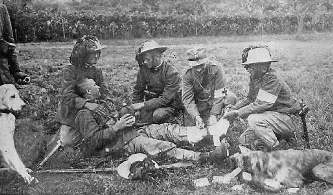 Casulaties of WW1